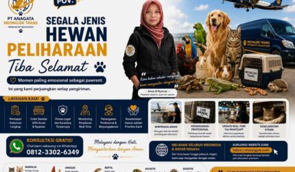 pet relocation