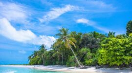 Hamparan pasir putih lembut berpadu dengan air laut biru jernih di sebuah pantai tropis yang memukau, menawarkan pemandangan menenangkan untuk setiap mata yang memandang. Suasana damai ini mengundang siapa saja untuk merasakan sentuhan alam yang menyegarkan pikiran dan jiwa.