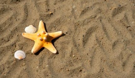 Mengurai Pesona Pantai Pasir: Lebih dari Sekadar Hamparan Butiran Halus
