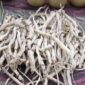 Akar pasak bumi yang telah dikeringkan, siap diolah menjadi ramuan herbal penambah vitalitas. Tanaman ini dikenal luas karena khasiatnya dalam mendukung kesehatan pria secara alami.