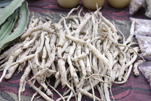 Akar pasak bumi yang telah dikeringkan, siap diolah menjadi ramuan herbal penambah vitalitas. Tanaman ini dikenal luas karena khasiatnya dalam mendukung kesehatan pria secara alami.