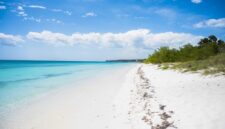 Hamparan pasir putih lembut berpadu dengan air laut sebening kristal di sebuah pantai tropis, menciptakan pemandangan sempurna yang mengundang relaksasi dan ketenangan jiwa. Beberapa pohon kelapa melambai lembut, menambah pesona alami destinasi idaman ini.
