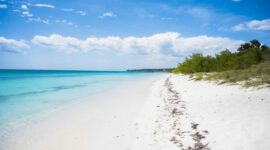 Hamparan pasir putih lembut berpadu dengan air laut sebening kristal di sebuah pantai tropis, menciptakan pemandangan sempurna yang mengundang relaksasi dan ketenangan jiwa. Beberapa pohon kelapa melambai lembut, menambah pesona alami destinasi idaman ini.