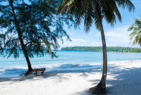 Hamparan pasir putih nan lembut yang berpadu sempurna dengan air laut jernih di bawah langit biru cerah, menawarkan pemandangan menenangkan yang sangat diidamkan para pelancong. Pantai ini menjadi destinasi idaman untuk relaksasi dan menikmati keindahan alam tropis yang memukau.