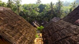 Potret kehidupan di sebuah desa adat Dayak Kanayatn yang dikelilingi hijaunya hutan tropis, menunjukkan harmoni antara manusia dan alam yang lestari. Masyarakat Dayak Kanayatn menjaga hutan sebagai bagian tak terpisahkan dari identitas dan sumber kehidupan mereka.