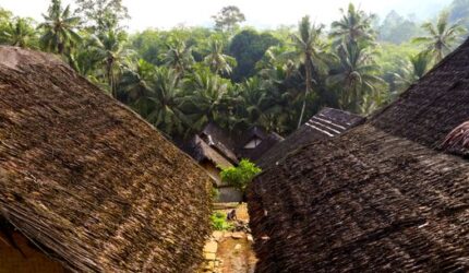 Intip Kearifan Dayak Kanayatn Menjaga Hutan dan Tradisi di Era Digital