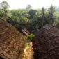 Potret kehidupan di sebuah desa adat Dayak Kanayatn yang dikelilingi hijaunya hutan tropis, menunjukkan harmoni antara manusia dan alam yang lestari. Masyarakat Dayak Kanayatn menjaga hutan sebagai bagian tak terpisahkan dari identitas dan sumber kehidupan mereka.
