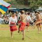 Para penari Dayak menampilkan keindahan gerak dan busana adat yang memukau dalam perayaan Gawai, menunjukkan kekayaan budaya Kalimantan. Setiap tarian sarat makna, menceritakan kisah dan ungkapan syukur masyarakat Dayak.