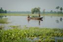 Pemandangan perahu tradisional yang melintasi Sungai Kapuas dengan latar belakang hutan hujan lebat di Kalimantan Barat, memperlihatkan betapa vitalnya peran sungai ini sebagai jalur transportasi dan denyut kehidupan masyarakat.