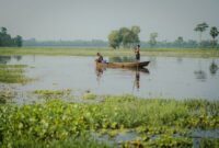 Pemandangan perahu tradisional yang melintasi Sungai Kapuas dengan latar belakang hutan hujan lebat di Kalimantan Barat, memperlihatkan betapa vitalnya peran sungai ini sebagai jalur transportasi dan denyut kehidupan masyarakat.