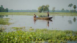 Pemandangan perahu tradisional yang melintasi Sungai Kapuas dengan latar belakang hutan hujan lebat di Kalimantan Barat, memperlihatkan betapa vitalnya peran sungai ini sebagai jalur transportasi dan denyut kehidupan masyarakat.