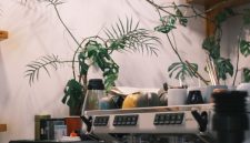 Suasana hangat di sebuah kedai kopi modern, tempat berbagai kisah dan ide baru saling berpadu dalam setiap tegukan kopi yang disajikan dengan penuh dedikasi. Para pengunjung menikmati momen santai, menciptakan memori berharga di tengah hiruk pikuk kehidupan perkotaan.