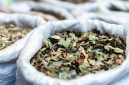 Seorang wanita sedang meracik ramuan herbal tradisional Melayu menggunakan aneka rempah dan dedaunan segar, menunjukkan proses otentik pembuatan jamu. Gambar ini menggambarkan kekayaan bahan alami yang menjadi dasar pengobatan turun-temurun.