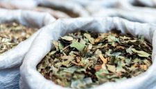 Seorang wanita sedang meracik ramuan herbal tradisional Melayu menggunakan aneka rempah dan dedaunan segar, menunjukkan proses otentik pembuatan jamu. Gambar ini menggambarkan kekayaan bahan alami yang menjadi dasar pengobatan turun-temurun.
