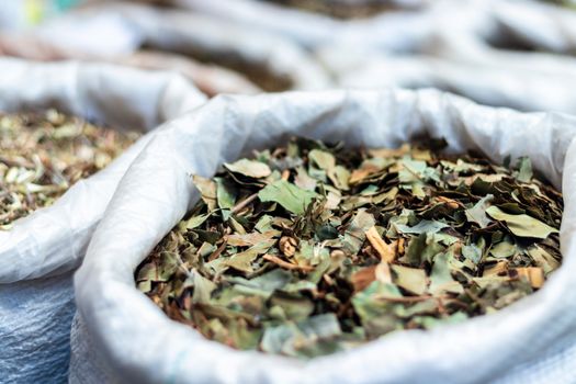 Seorang wanita sedang meracik ramuan herbal tradisional Melayu menggunakan aneka rempah dan dedaunan segar, menunjukkan proses otentik pembuatan jamu. Gambar ini menggambarkan kekayaan bahan alami yang menjadi dasar pengobatan turun-temurun.