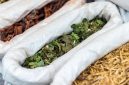Beragam rempah dan tanaman obat segar terhampar, siap diracik menjadi ramuan herbal Melayu yang telah digunakan turun-temurun untuk menjaga kesehatan dan vitalitas tubuh.