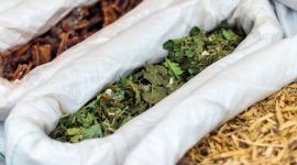 Beragam rempah dan tanaman obat segar terhampar, siap diracik menjadi ramuan herbal Melayu yang telah digunakan turun-temurun untuk menjaga kesehatan dan vitalitas tubuh.
