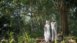 Akar pasak bumi yang kokoh mencuat dari tanah, menunjukkan kekayaan alam Indonesia yang telah lama dimanfaatkan sebagai obat tradisional penambah stamina dan vitalitas. Tanaman ini tumbuh subur di hutan tropis Kalimantan.